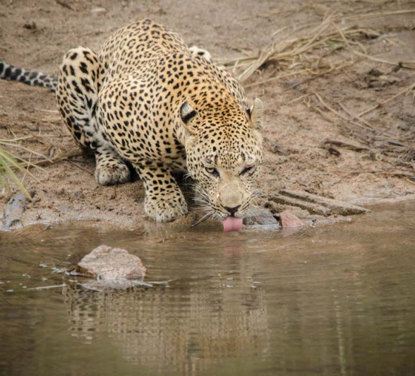 Photo Steve Max4 Photo Steve Max4