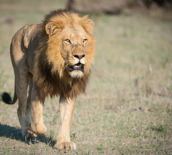 01Terry Ennever Highlights Sept Oct 19