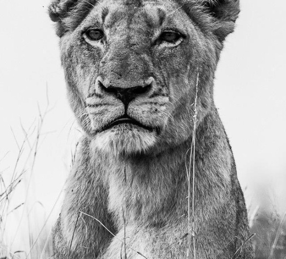 15Terry Ennever SP 7417 2 Final 15Terry Ennever SP 7417 2 Final