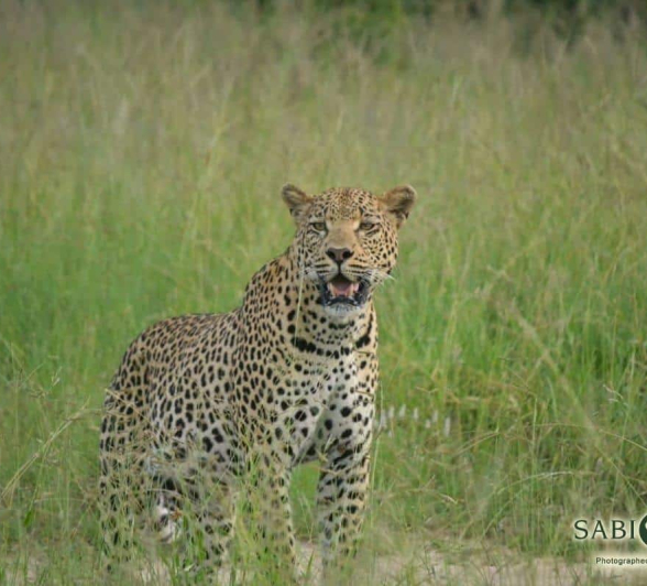 11Ronald Mutero WD 22032019 2 Final