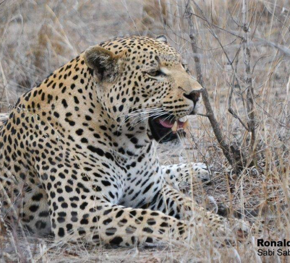 10Ronald Mutero White Dam 05102019 Final 10Ronald Mutero White Dam 05102019 Final
