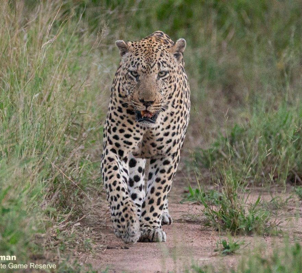 05Brett Heasman Xovo 23042020 3 Final