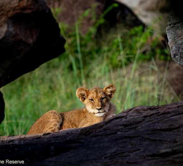 12ronald Mutero Sp 02032021 3 Final