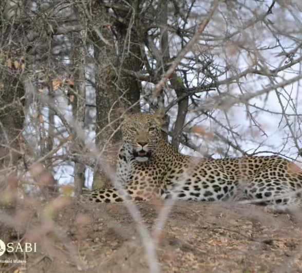 07Ronald Mutero Kigelia 28072019 Final 07Ronald Mutero Kigelia 28072019 Final