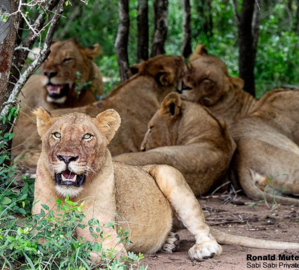 16ronald Mutero Khambula Pride 01032021 17 FINAL