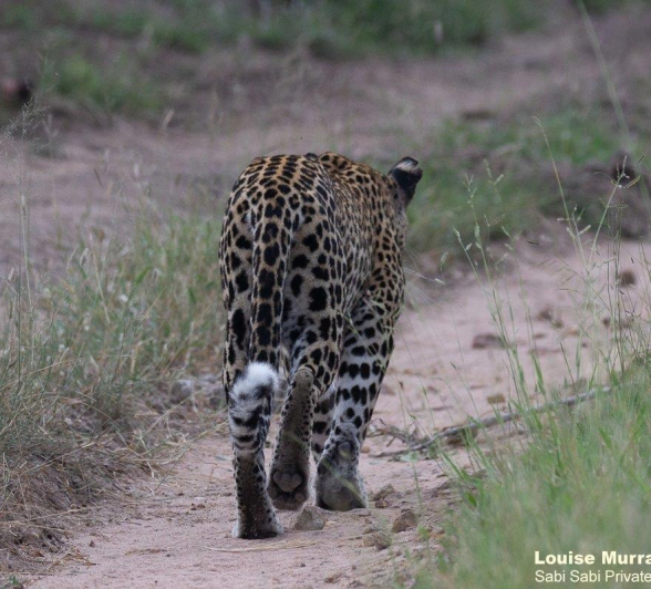 28Louise Murray Ntsumi 25022021 FINAL