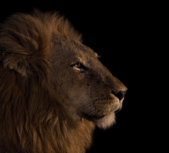 Pravir Patel SRM 01 Pravir Patel SRM 01