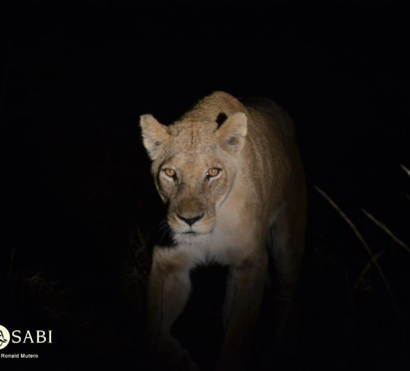 21Ronald Mutero Styx 28072019 1 Final 21Ronald Mutero Styx 28072019 1 Final