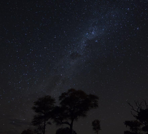 08Sheldon Hooper Star Stitch 7