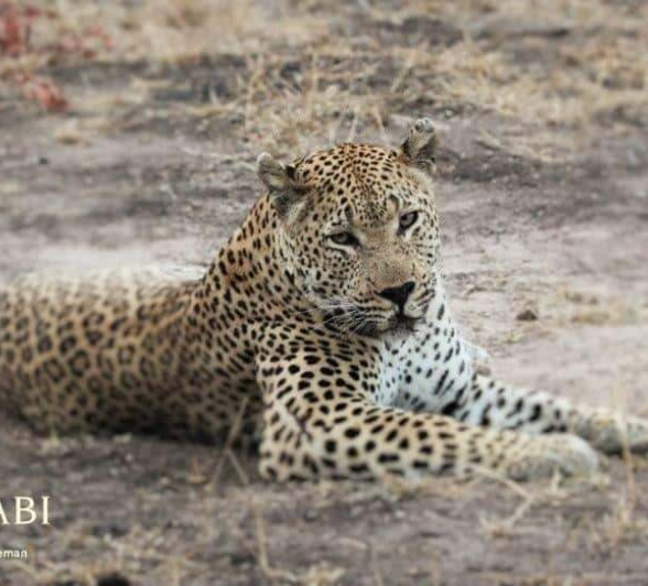 15Stefan Schoeman Max 22082018 Final