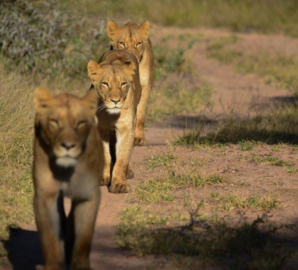 A11Jamiel SP 3 140622 Final A11Jamiel SP 3 140622 Final