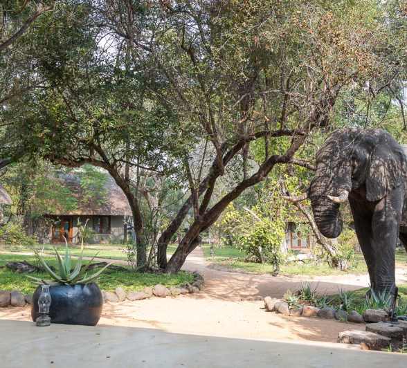 06Terry Ennever Ellie Walkway