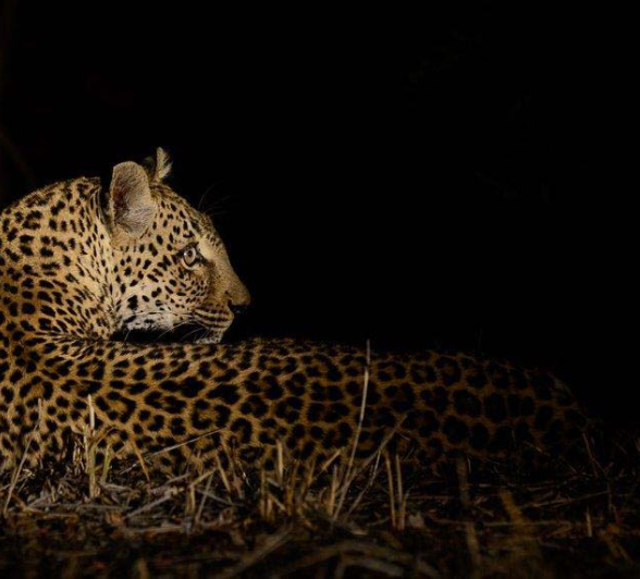 07Mike Palmer LB 310716 2 07Mike Palmer LB 310716 2