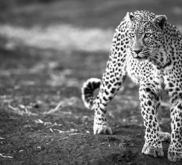 08Terry Ennever Highlights Sept Oct 9