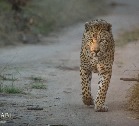 10Terry Ennever Max 24517 Final