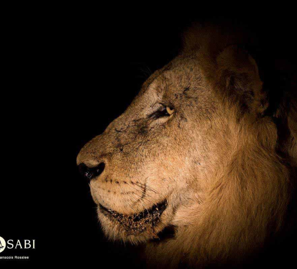 16Franscois Rosslee Male1 1 Of 1 Final