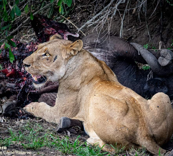 01ronald Mutero Nwash And Sp 27112020  Final