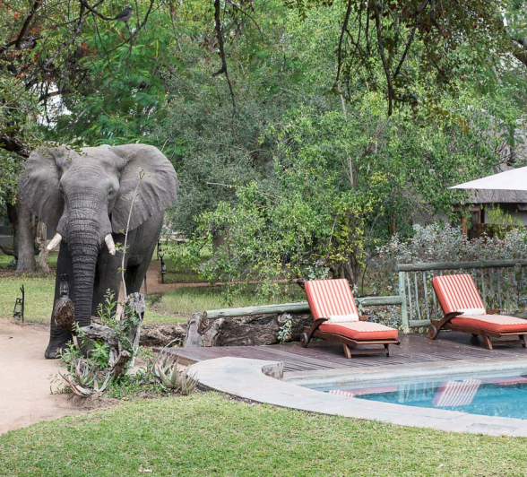 05Terry Ennever Ellie Selati 6 8 15