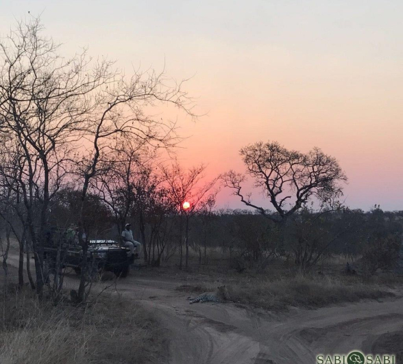 39Chanyn Lee Zeelie Maxabeni Sunset Final 39Chanyn Lee Zeelie Maxabeni Sunset Final