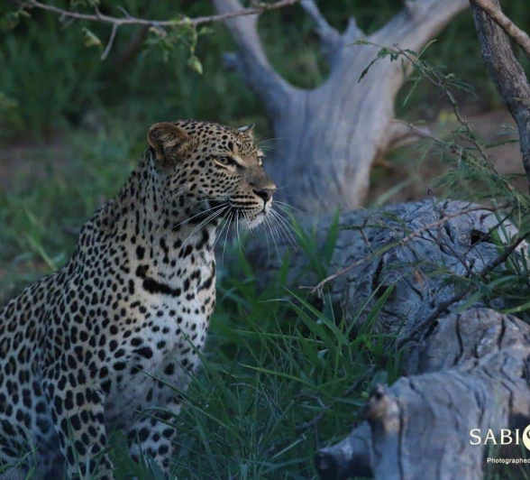 13Steff McWilliam Blog012 Final