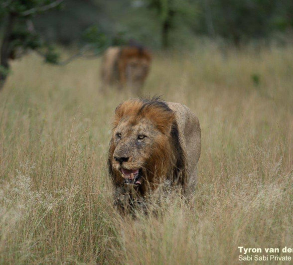 17Tyron Van Der Walt Birmingham Males 160420 4 Final