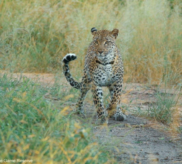 22Ally Ross 20210314 Kigelia 02 Final