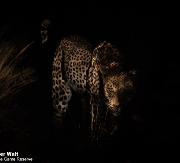 B11Tyron Van Der Walt White Dam 260821 1 Final B11Tyron Van Der Walt White Dam 260821 1 Final