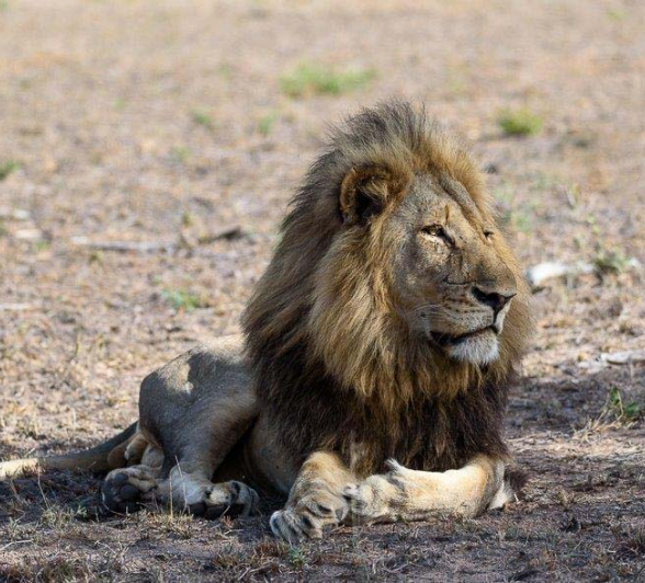 03Mike Palmer Big Boy 1 050316