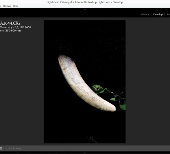 06 11April17 Sheldon Hooper Fade10