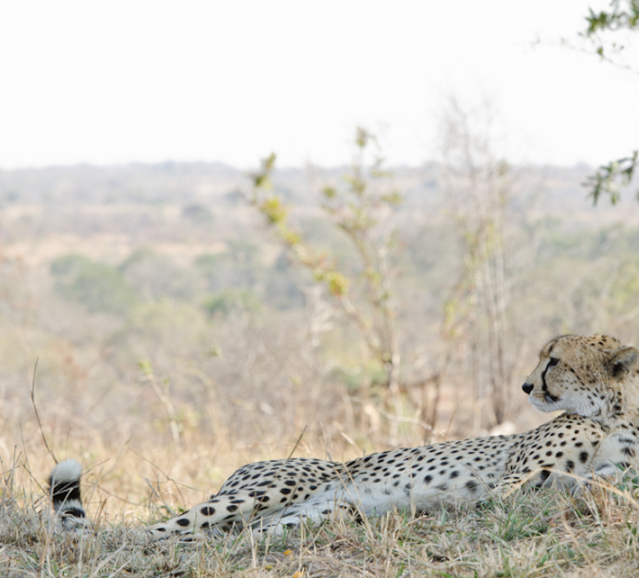 Week In Pictures 5 Week In Pictures 5