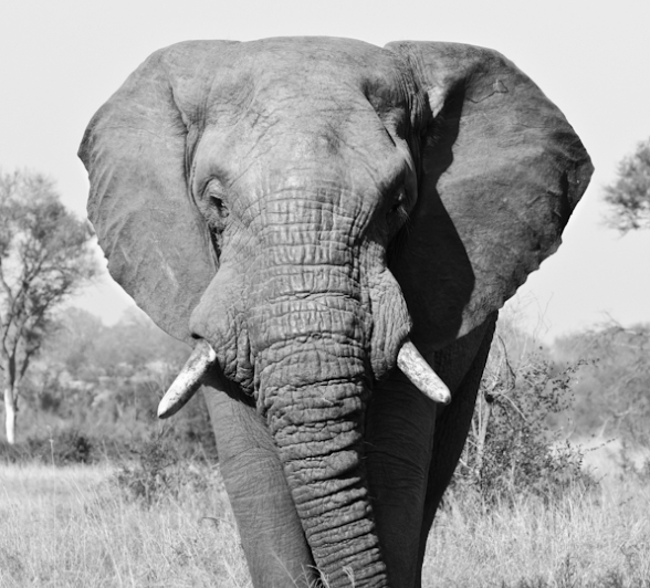 Week In Pictures 16 Week In Pictures 16