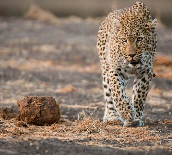 09Terry Ennever Highlights Sept Oct 14