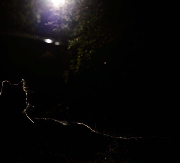 08Mike Palmer LB 310716 3 08Mike Palmer LB 310716 3