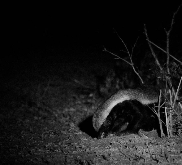 19Mike Palmer HB 310716 1 19Mike Palmer HB 310716 1