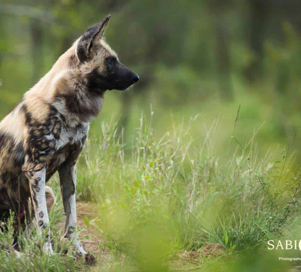 22Terry Ennever WD 25218 1 Final