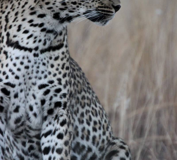 02Louise Murray 27072018 Scotia Final