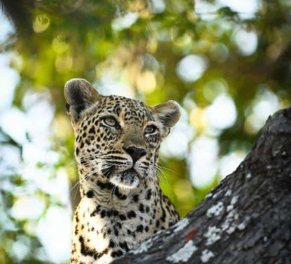 02Ally Ross 20200806 Scotia 02 Portrait Final