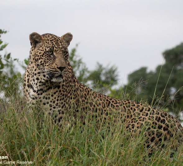 18Greg Heasman Nweti 12032021 1 Final