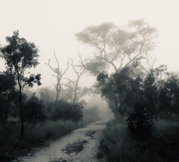 08Louise Murray Misty Morning 18032021 Final 08Louise Murray Misty Morning 18032021 Final