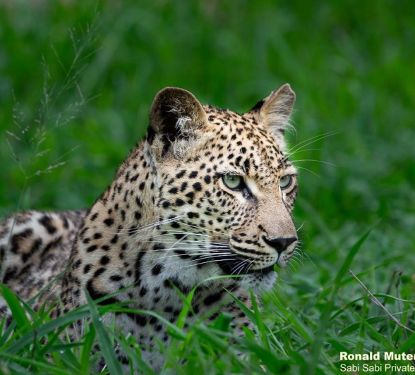 A22ronald Mutero Ntsumi Cub 08122021 Final A22ronald Mutero Ntsumi Cub 08122021 Final