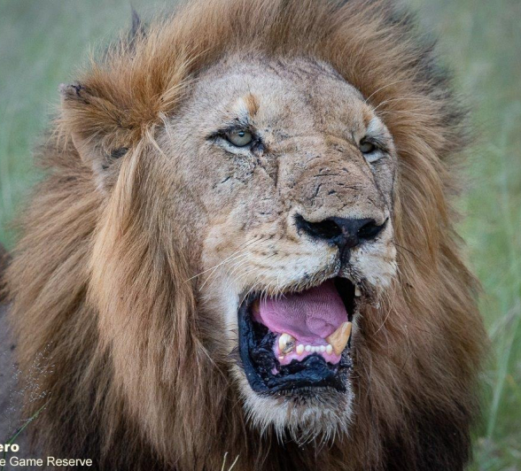 A10ronald Mutero Nwash Nd Stix 24012022 5 Final