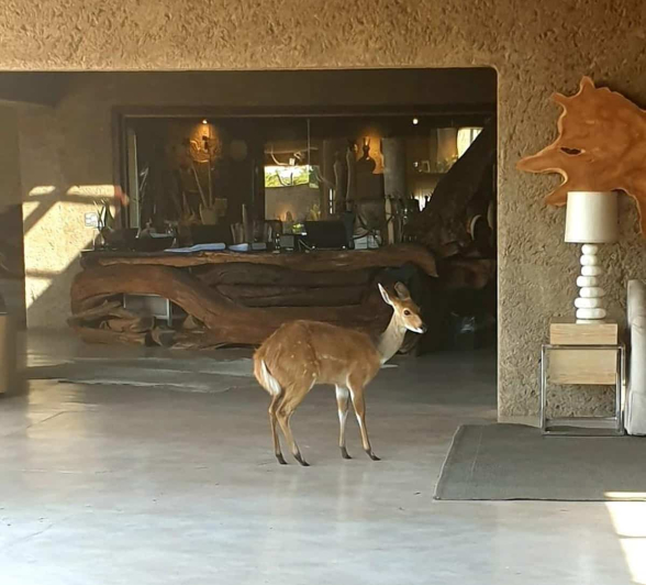 Earth Lodge Image 8 13022020 1200px