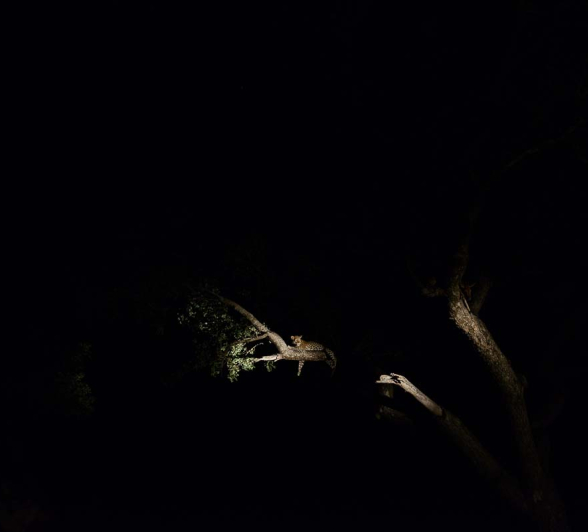 Mike Palmer Hlarulini 070316 10 Mike Palmer Hlarulini 070316 10