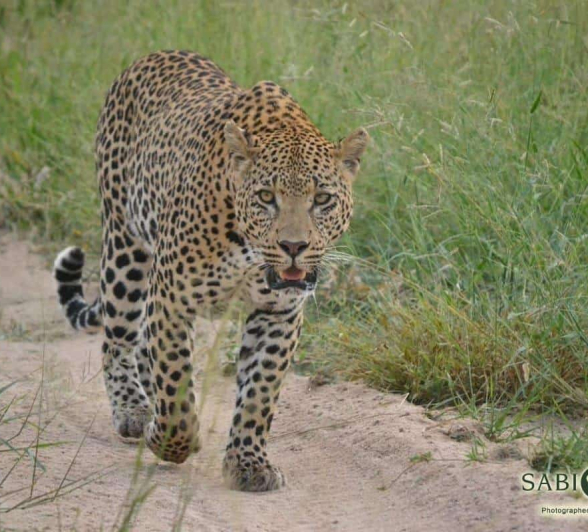 10Ronald Mutero WD 22032019 1 Final