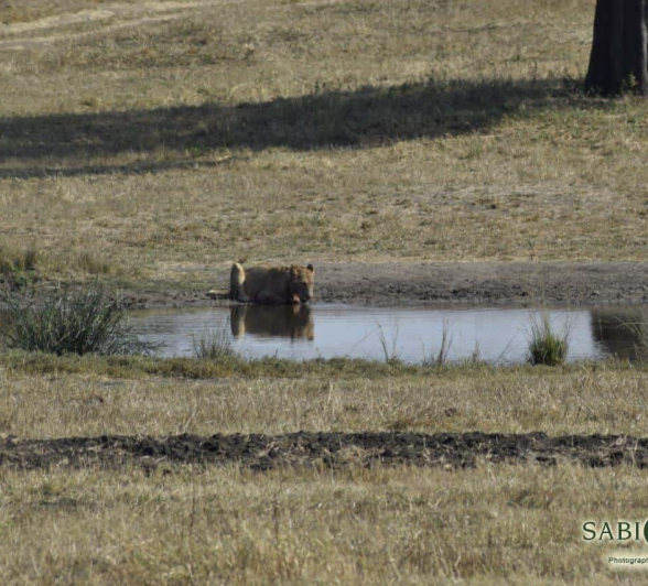 11Maryke Nel SP SC 23052019 Final 11Maryke Nel SP SC 23052019 Final