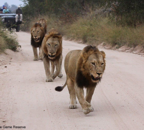 06Erin Herbst Nwasiwshaka 1 070521 Final