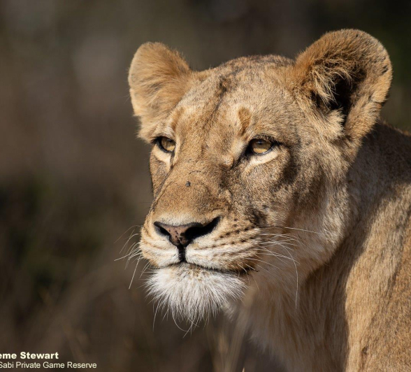 A01Graeme Stewart SP 040821 Final