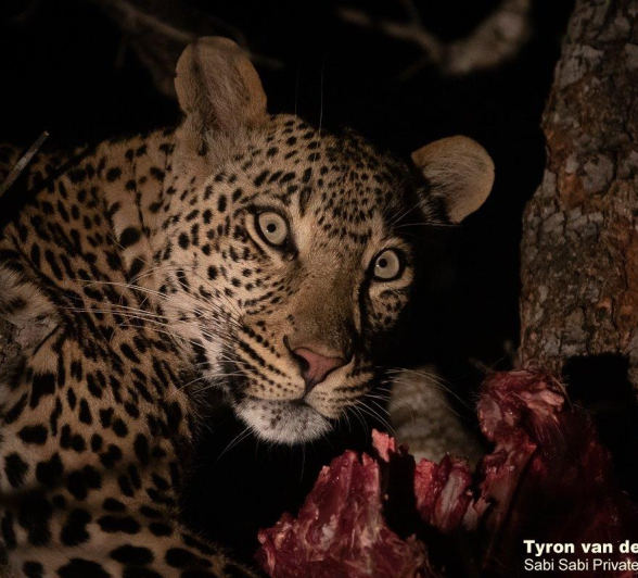 A26Tyron Van Der Walt Ngumi 260921 1 Final A26Tyron Van Der Walt Ngumi 260921 1 Final