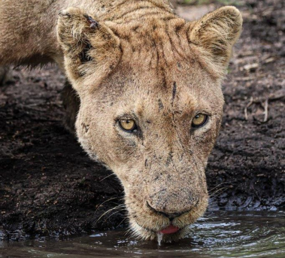 B14Coenraad Stapelberg Styx 140123 1 Final