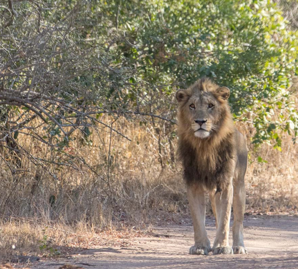 04Pravir Patel Fourways 210715a 04Pravir Patel Fourways 210715a